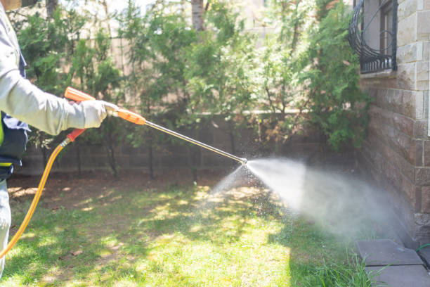 Best Flea Control Services  in South Milwaukee, WI