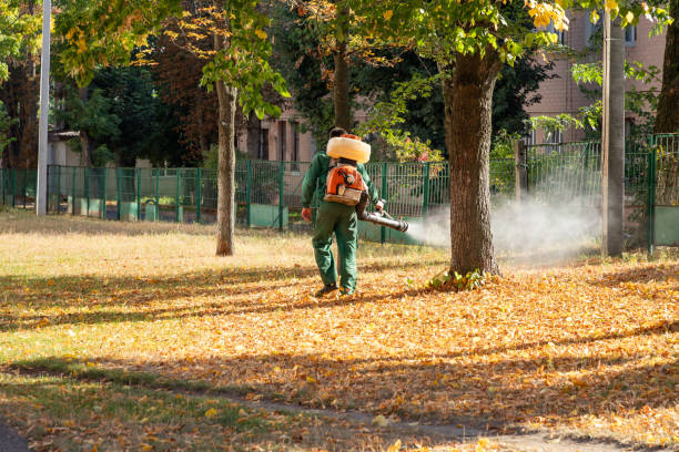 Best Bird Control  in South Milwaukee, WI
