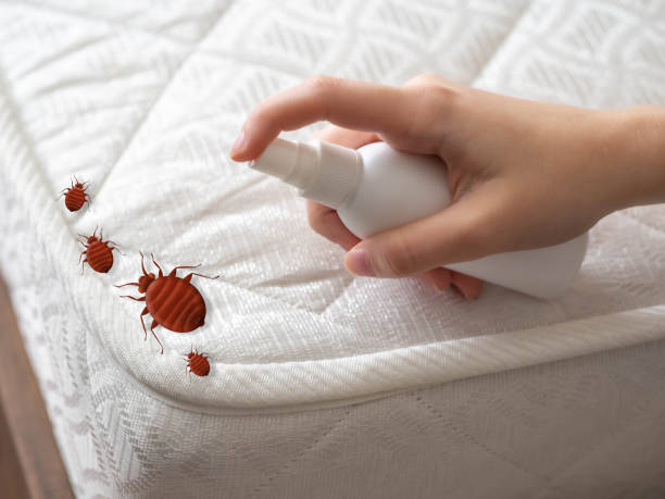 Reliable South Milwaukee, WI Pest Control Solutions