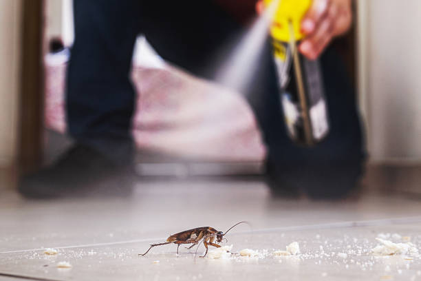 Best Cockroach Control Services  in South Milwaukee, WI