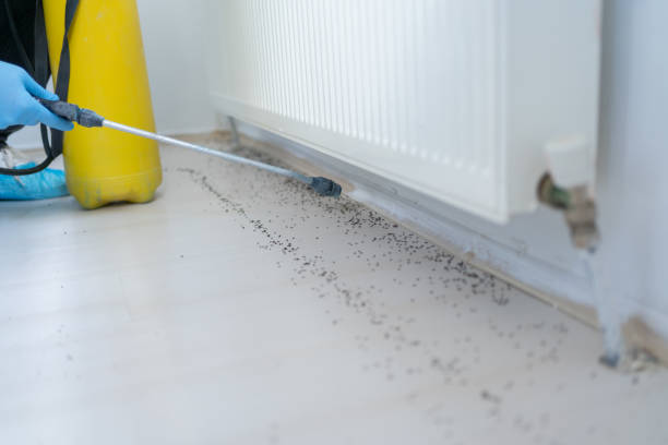 Best Spider Control Near Me  in South Milwaukee, WI