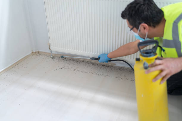 Best Best Pest Control Companies  in South Milwaukee, WI